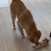 きびだんごちゃんもご挨拶♪