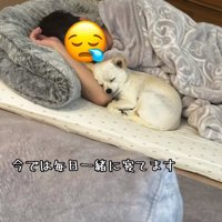 パパと眠るソラくん1