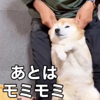 耳を揉むお父さん