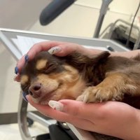 優しくしてくれてありがとう