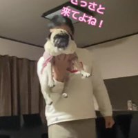「さっさと来てよね！」