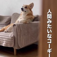 「ふうう」