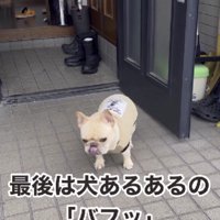 可愛すぎる地団駄でした♡