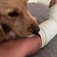 「大丈夫…？」