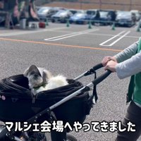 イベント会場に到着
