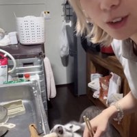 食べちゃった！