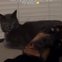 首の角度がおかしい…！