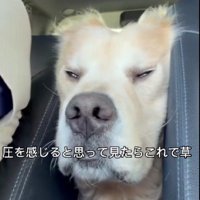 翔さんがハマってる！！