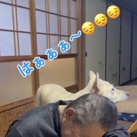 おじいちゃん、お疲れのご様子