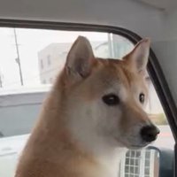 病院だと気付いたはなこちゃん