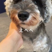 お風呂から出た時のポポちゃんの態度4