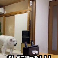 焦ってます！
