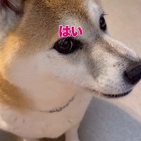 場所と品を変えてみたら？