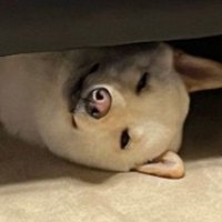 まるでホラー映画（笑）