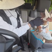 ドッグランに遊びに来ました！