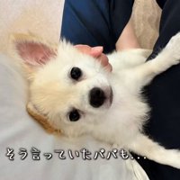 カメラ目線のソラくん
