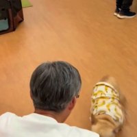 男性の足元に戻って来た犬