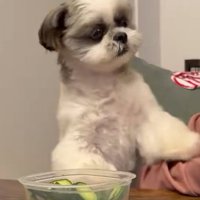 パンチ