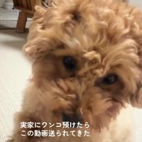 お母さんにデレデレ♡