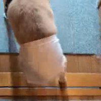 可愛いおむつがもらえたね♡