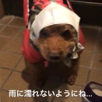 「これ、本当に合ってる…？」