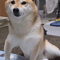 座り方の癖が強すぎる…！！