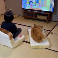 仲睦まじい姿にキュン