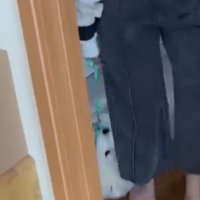 ハーネスを着けてリードを繋がれた犬