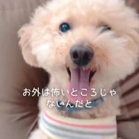すいーぶ君の変化9