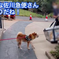 久しぶりに配達員と再会