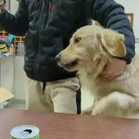 椅子を占拠したティトちゃん
