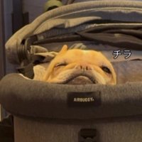 優しさあふれるプー太郎くんでした♡