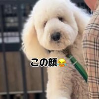 「うむうむ…」