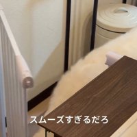 侵入するソラくん