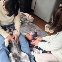 親戚が来たときのこと