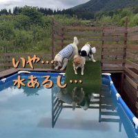 「どうしよかな…」