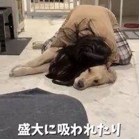 友人に首元へ顔をうずめられる麹くん