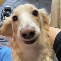 普段はこんなに素敵だよ