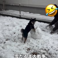 カメラ目線の千幸ちゃん