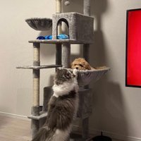 「これは猫用だよ！！」