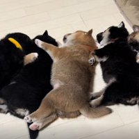 左端の子が移動開始