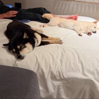 ホテル