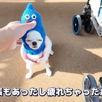 疲れたルミちゃん