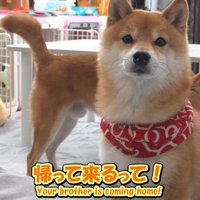 「え、今日帰ってくるの？本当…！？」