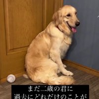 過去になにがあったの？