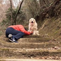 そばで様子をうかがっています