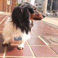 今ではとても甘えん坊