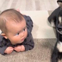 「まだまだだな」