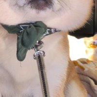 「まだ帰りたくない！」