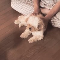 亡くなる前日のふたり